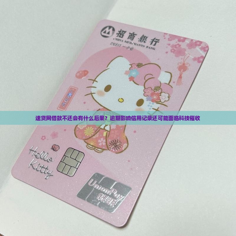 速贷网借款不还会有什么后果