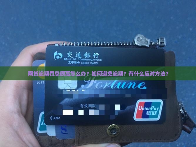 网贷逾期罚息很高怎么避免