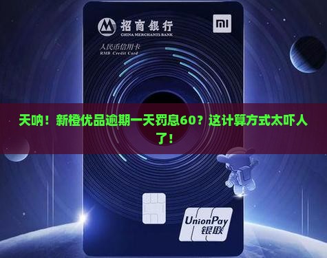新橙优品逾期一天罚息60怎么计算