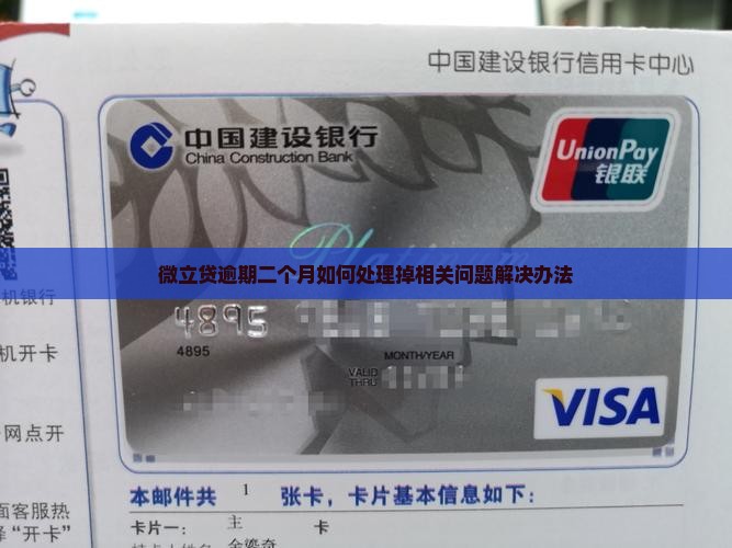 微立贷逾期二个月如何处理