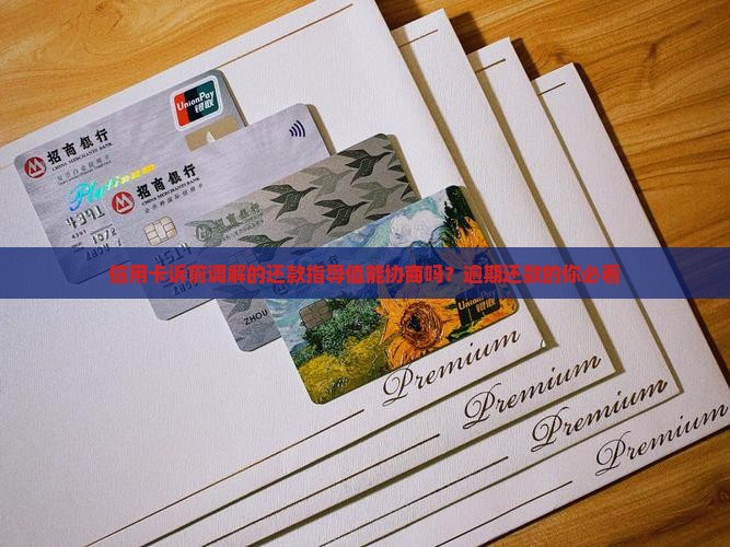 信用卡诉前调解的还款指导值能协商吗
