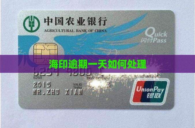 海印金服逾期一天如何处理