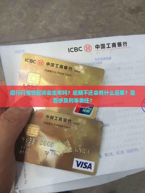 招行闪电贷起诉会被判刑吗