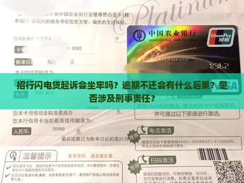 招行闪电贷起诉会被判刑吗