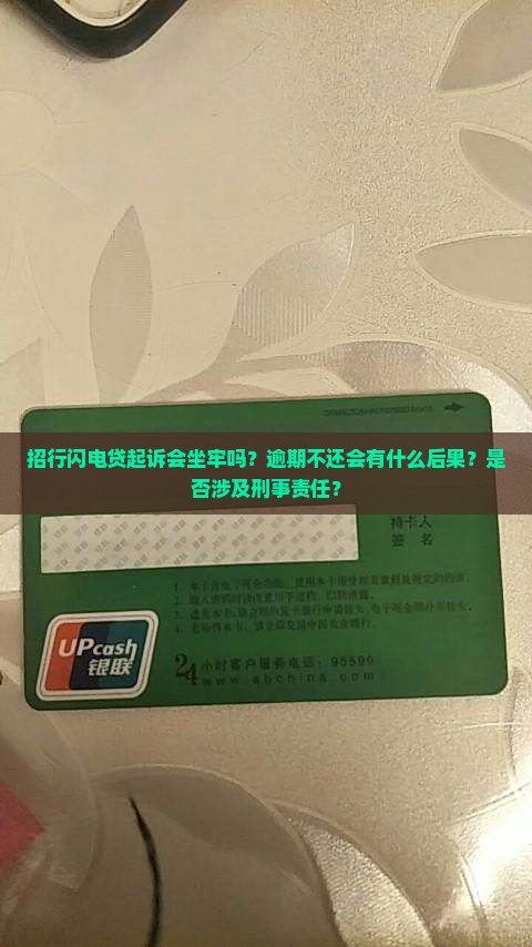 招行闪电贷起诉会被判刑吗