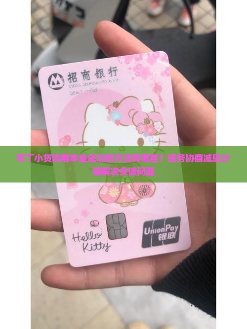布丁小贷协商本金成功的方法有哪些