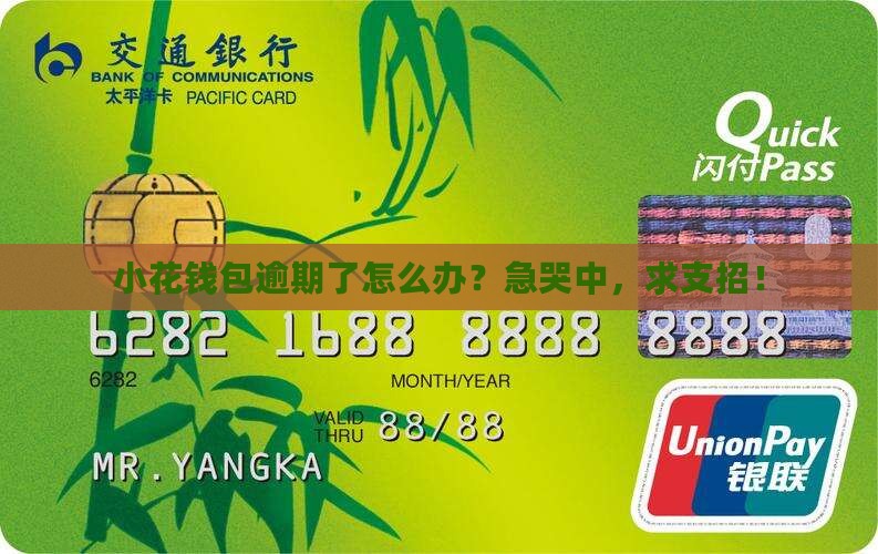 小花钱包里逾期了怎么处理