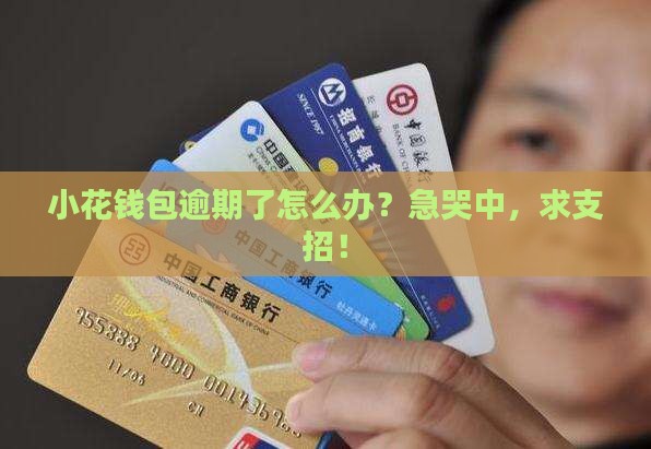 小花钱包里逾期了怎么处理