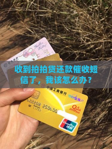 拍拍贷还款催收短信怎么办理