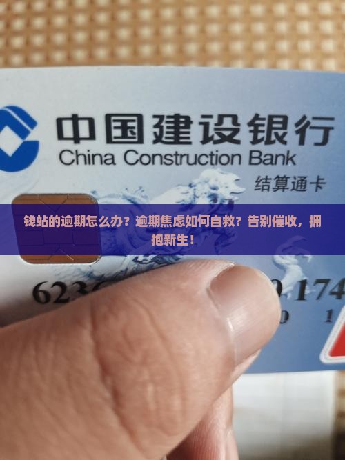钱站的逾期怎么办