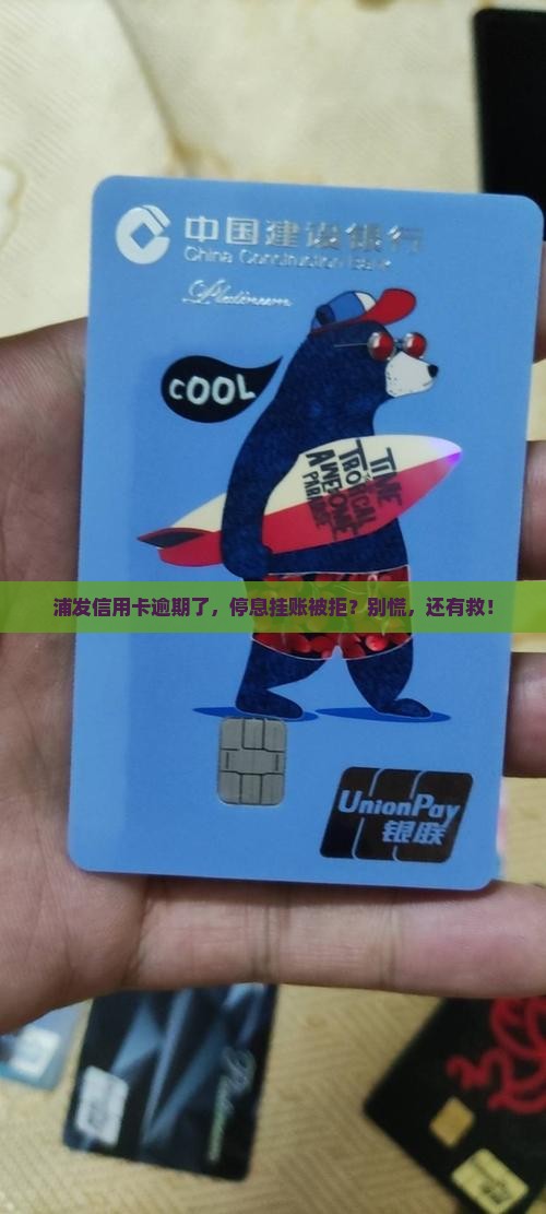 浦发银行信用卡逾期不同意停息挂账怎么办