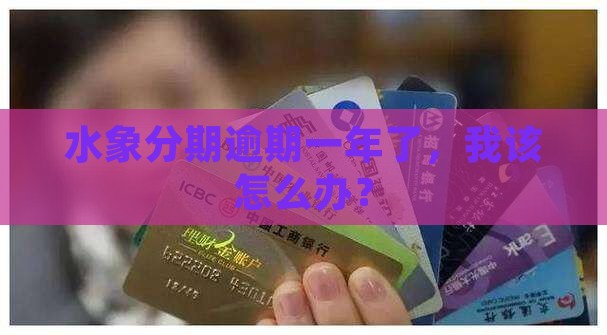 水象分期1000逾期一年如何处理