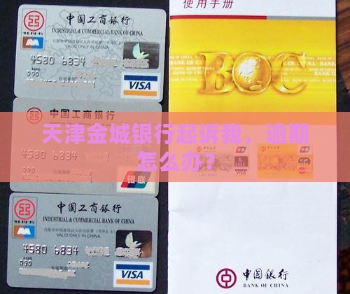 天津金城银行起诉我怎么办