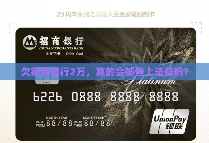 莱商银行欠款2万会被起诉吗