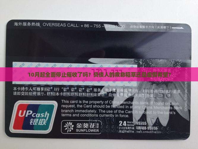 10月起全面停止催收了