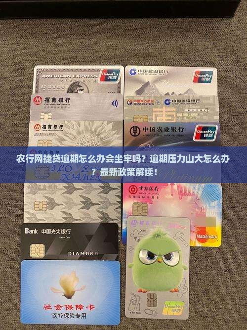 农行网捷贷逾期怎么办会坐牢吗