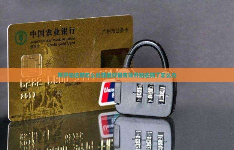 刚开始逾期怎么处理