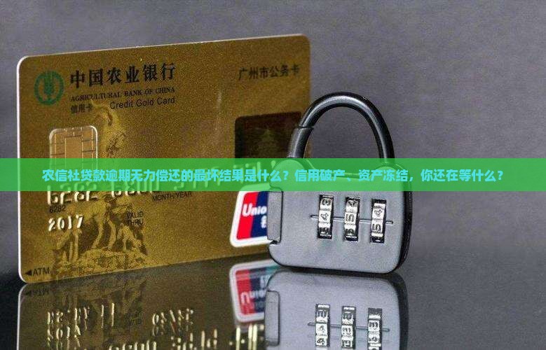 农信社贷款逾期无力偿还的最坏结果是什么
