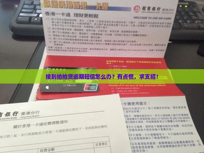 拍拍贷短信说逾期怎么处理
