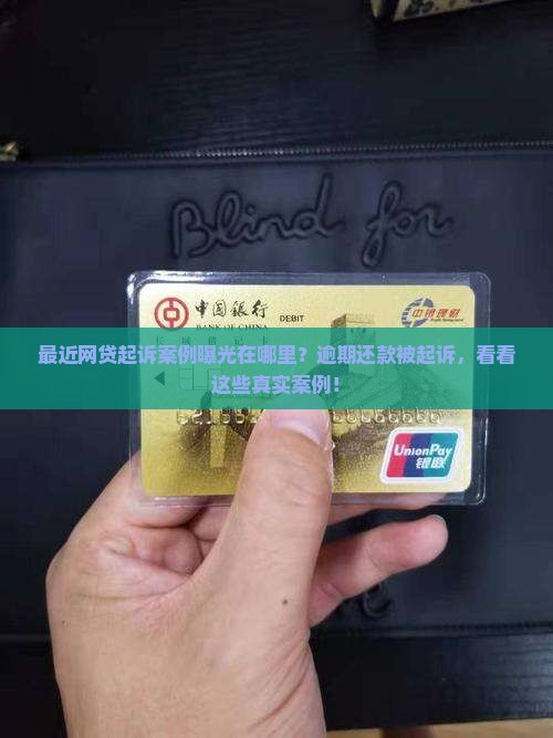 最近网贷起诉案例曝光在哪里
