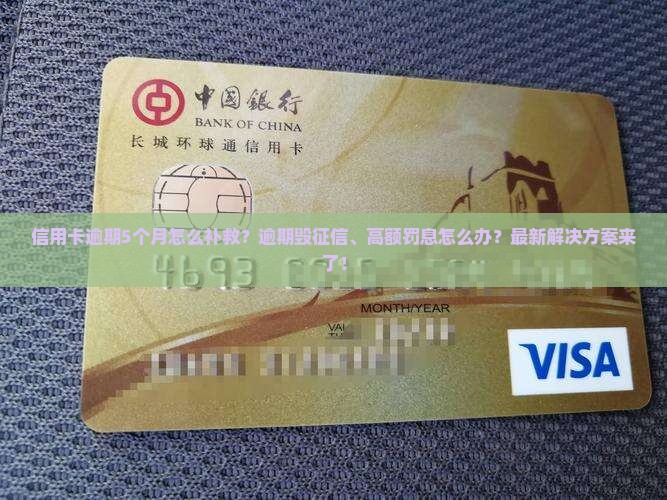 信用卡逾期5个月怎么补救