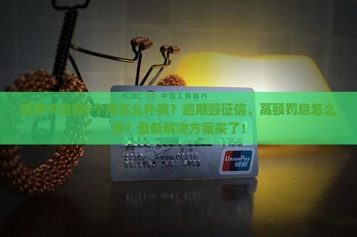 信用卡逾期5个月怎么补救