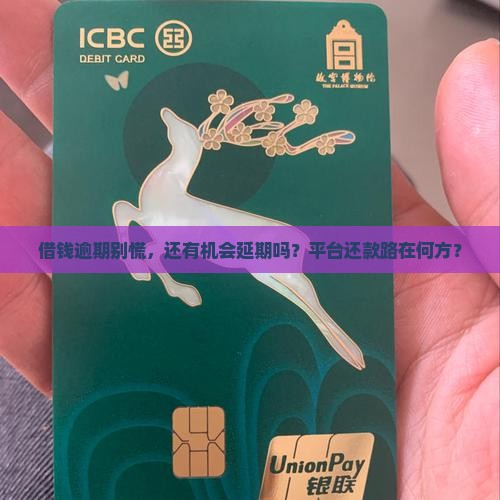 平台借钱逾期了怎么办理延期还款
