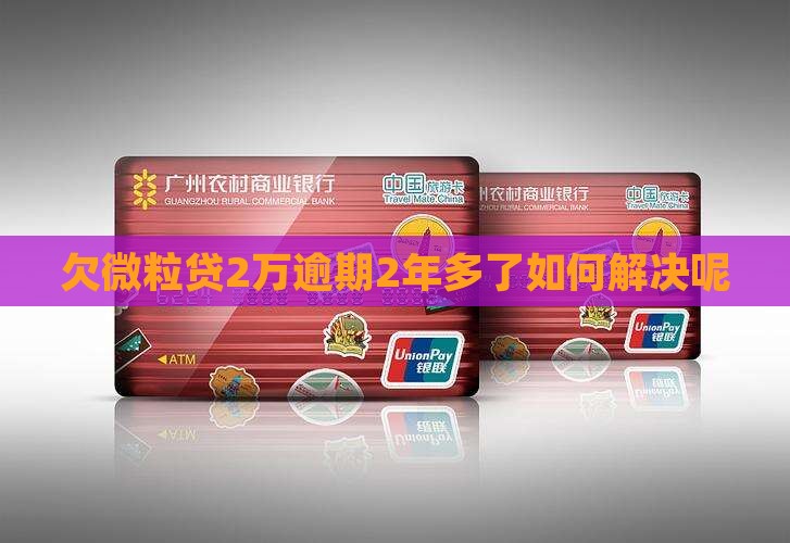 欠微粒贷2万逾期2年多了如何解决