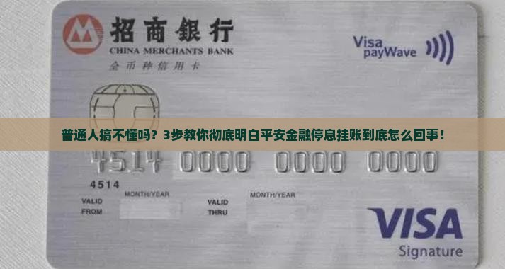 平安金融停息挂账解释说明