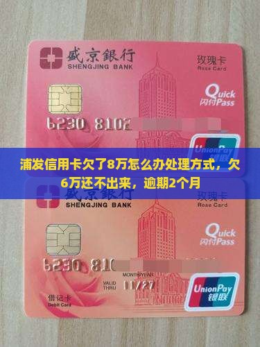浦发信用卡欠了8万怎么办处理方式
