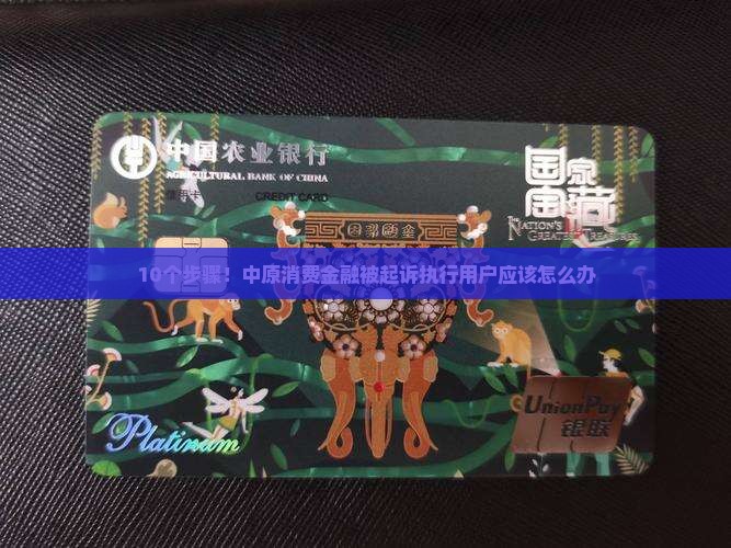中原消费金融被起诉执行应该如何处理