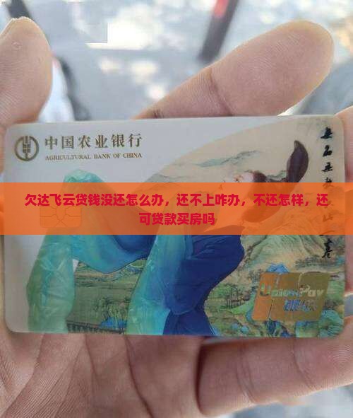 欠达飞云贷钱没还怎么办