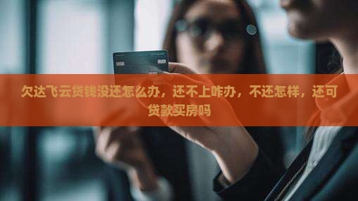 欠达飞云贷钱没还怎么办