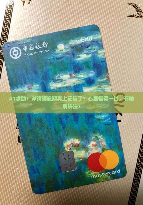 洋钱罐逾期已经上征信