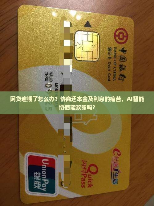 网贷逾期要怎么协商还本金及利息
