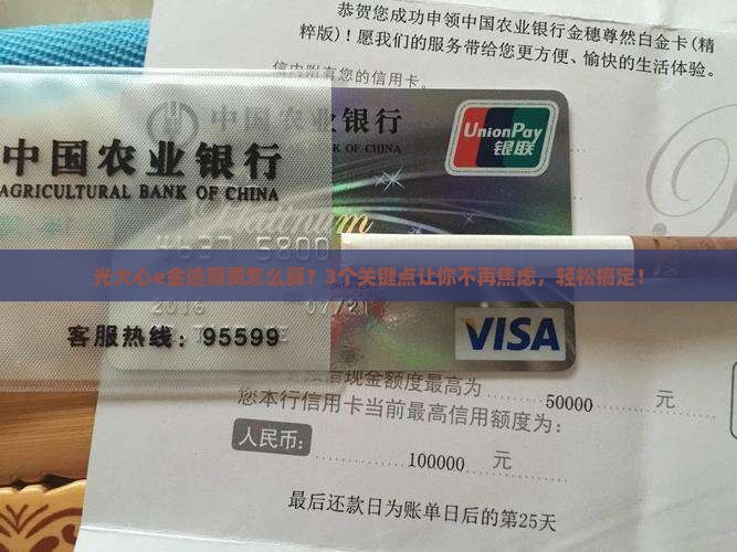 光大心e金逾期费如何计算 光大心e金逾期费如何计算
