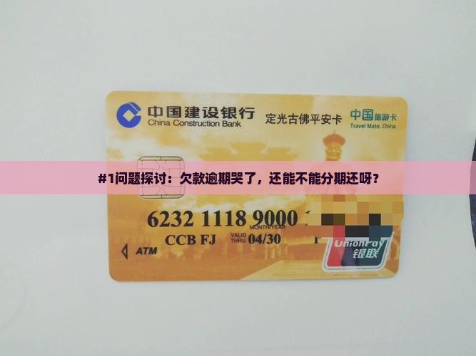 欠款逾期了能分期还款吗