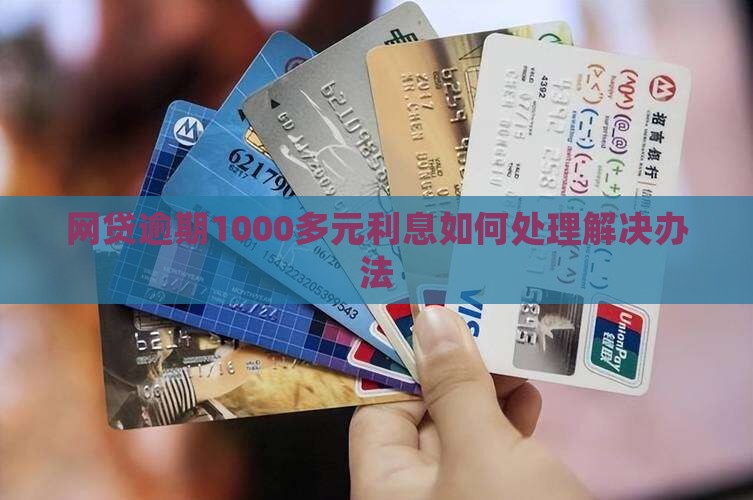 网贷逾期1000多元利息如何处理