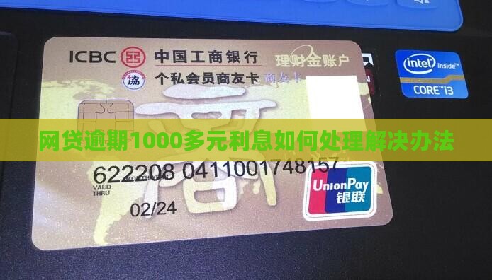 网贷逾期1000多元利息如何处理