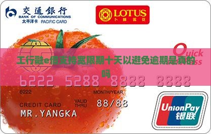 工行融e借宽限期十天是真的吗