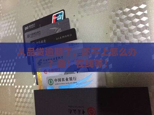 人品贷逾期了还不上该怎么办