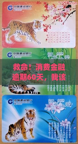 消费金融逾期60天应该怎么处理