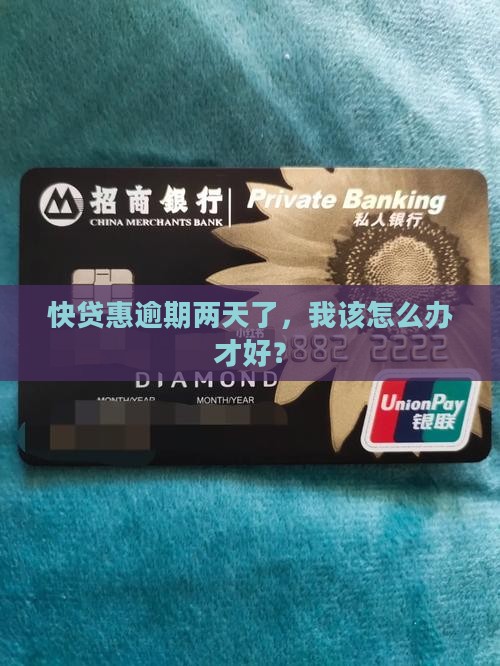 快贷惠逾期二天怎么处理