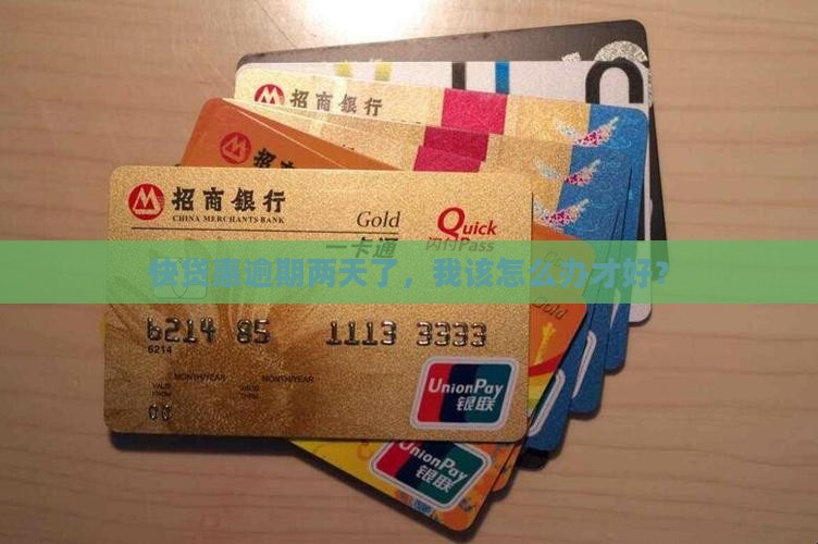 快贷惠逾期二天怎么处理