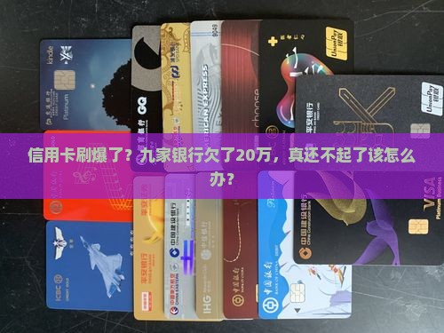 九家银行信用卡欠20万还不起怎么办