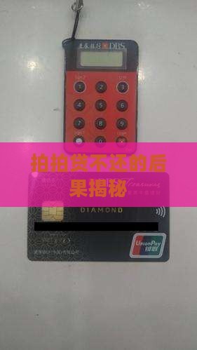 拍拍贷凭本事借钱不还的后果有哪些