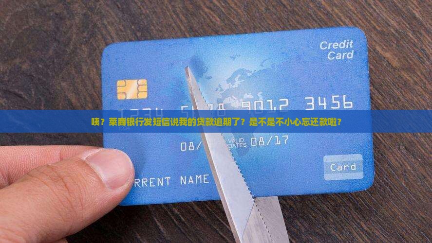 莱商银行发短信说我贷款逾期