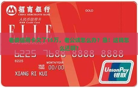 夫妻信用卡欠款15万怎么办