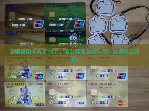 夫妻信用卡欠款15万怎么办