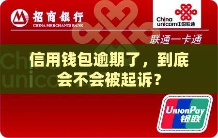 信用钱包逾期多久起诉